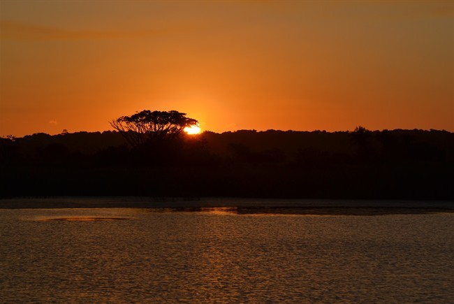 Consejos de viaje Sudáfrica: ¿por qué ir?